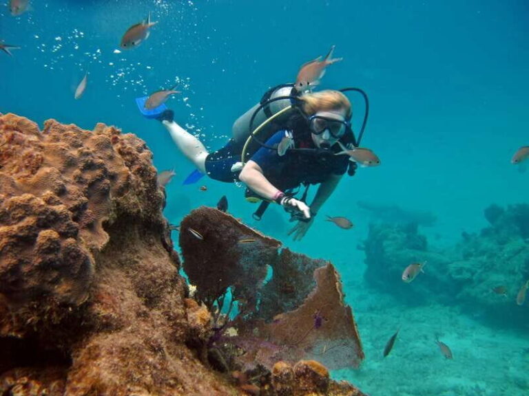 Cozumel: One Tank Scuba Dive and Full Chankanaab Park Access - Exploring the Tour: A Step-by-Step Breakdown
