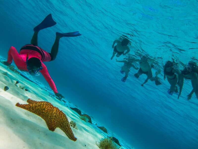 Cozumel: Palancar, Columbia and Cielo Reefs Snorkeling Tour - The Itinerary Breakdown