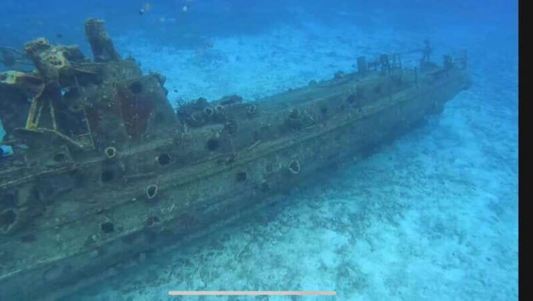 Cozumel, Passion Island: 4-Hour Private Tour - What Travelers Say