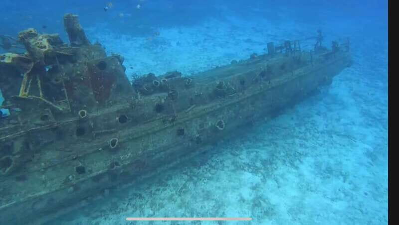 Cozumel, Passion Island: 4-Hour Private Tour - What Travelers Say