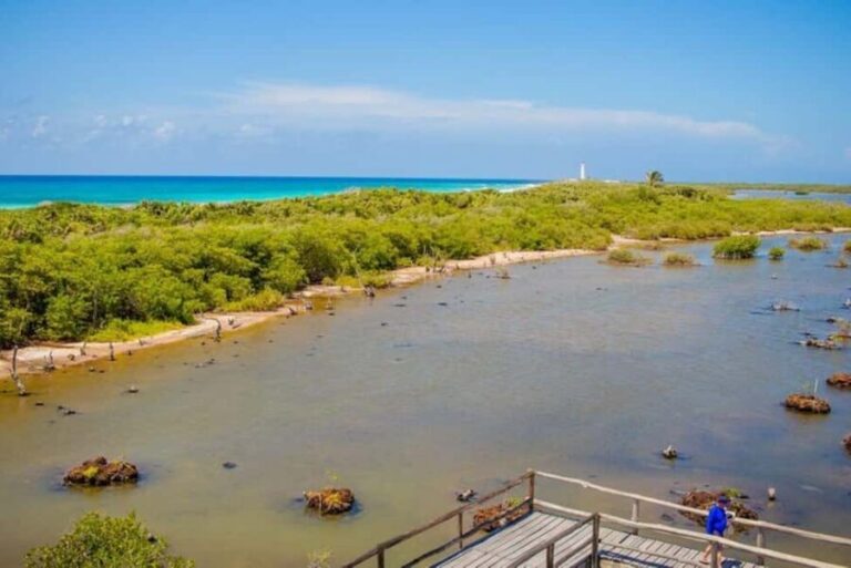 Cozumel: Private Buggy Tour to Punta Sur Park All Inclusive - What Travelers Say About Their Experience
