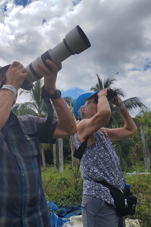 Cozumel: Private Car, Driver & Certified Tour Guide - The Itinerary Breakdown