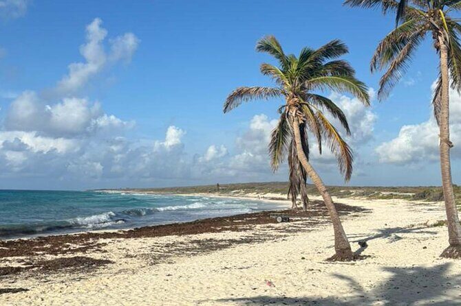 Cozumel Private Island Tour - What Travelers Say: Authenticity and Guides