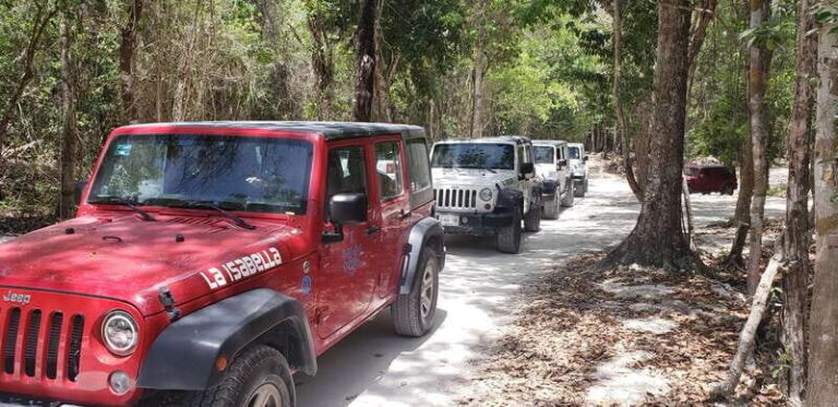 Cozumel: Private Jeep Tour Shore Excursion - Exploring the Eastern Beaches and Turtle Hatching Program