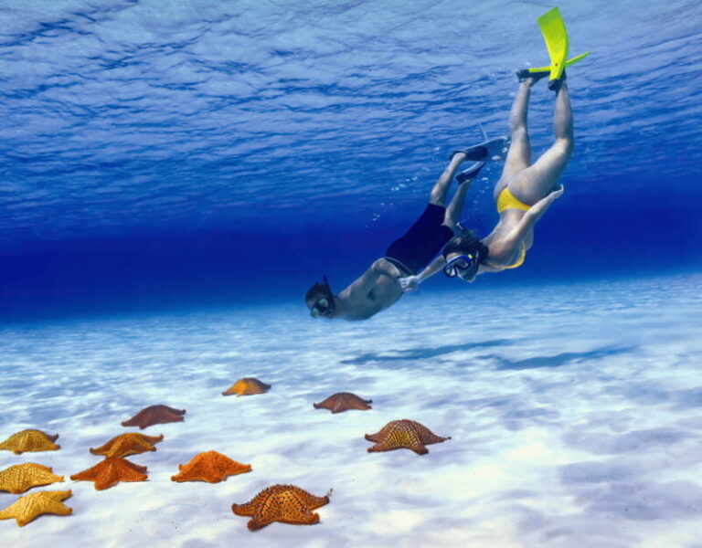 Cozumel: Private Snorkel Tour El Cielo + 3 Reefs Food Drinks - Food, Drinks, and Onboard Comforts