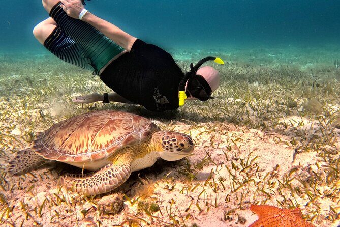 Cozumel Private Snorkeling and Charter Experience - Snorkeling Destinations: Hidden Gems and Popular Spots