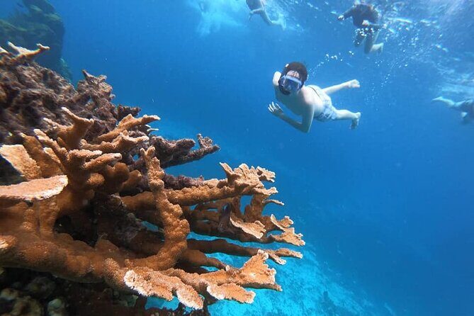 Cozumel Private Snorkeling, Fishing & El Cielo Charter - Authenticity & Value