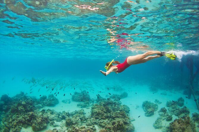 Cozumel Reef Snorkeling Tour - The Practicalities: What the Tour Includes