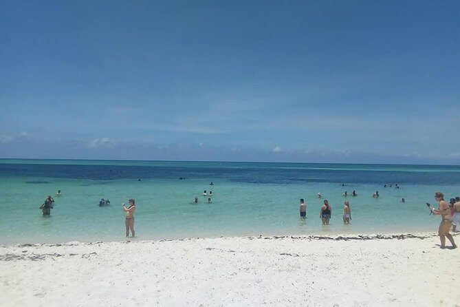 Cozumel round transportation to the beaches - An In-Depth Look at the Cozumel Private Tour