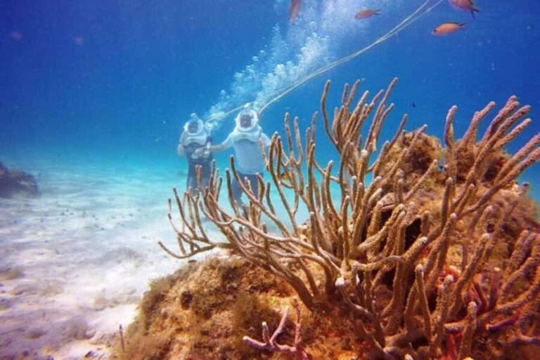 Cozumel: Sea Trek Adventure at Chankanaab National Park - Authenticity and Authentic Experiences