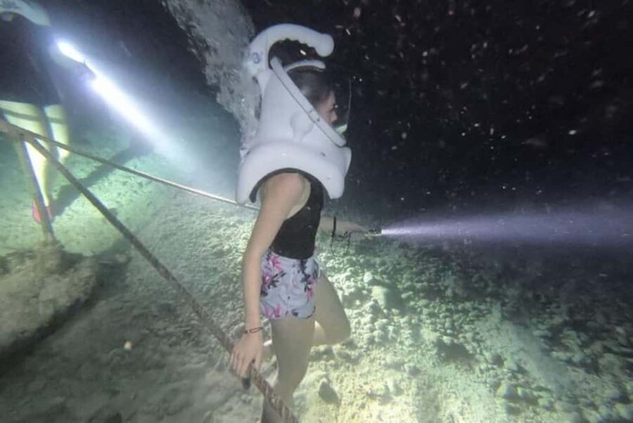 Cozumel: Sea Trek Underwater Night Dive Experience - Is It Worth the Price?
