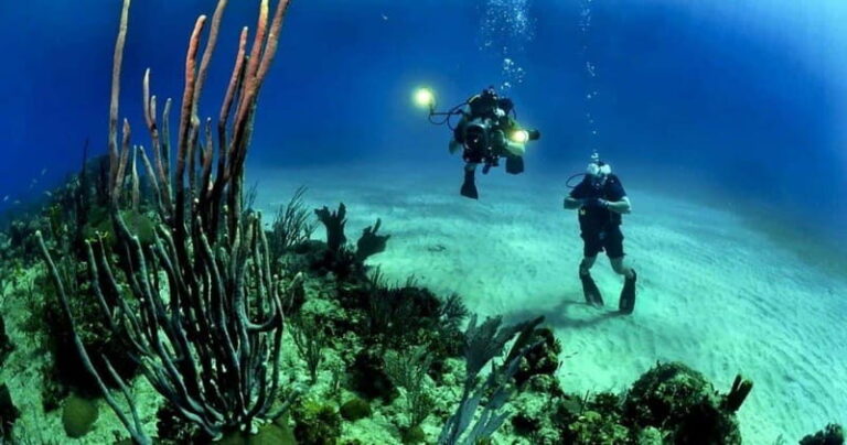 Cozumel: Shipwreck and Reef Dive with Lunch - Practical Tips for Your Trip