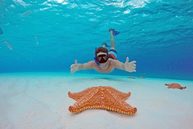 Cozumel: Snorkel at El Cielo, Colombia Reef & Palancar Reef - Who Should Consider This Tour?
