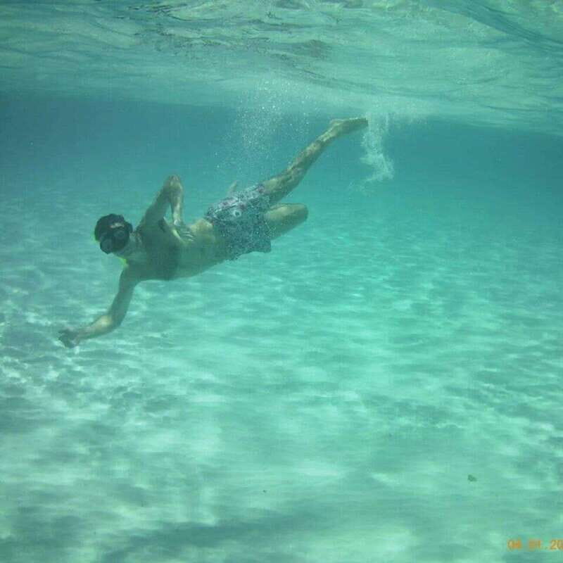 Cozumel: Snorkel Tour to El Cielo, Palancar, and Colombia - Analyzing the Value