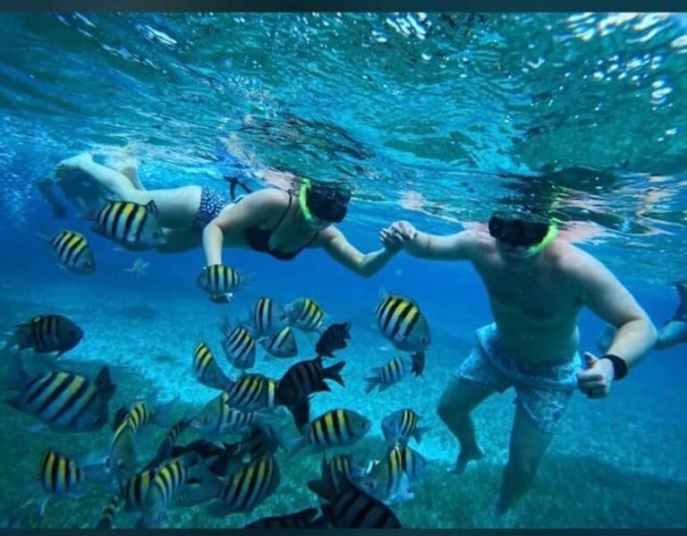 Cozumel: snorkeling on reefs + visit to "El Cielo" - What Travelers Are Saying