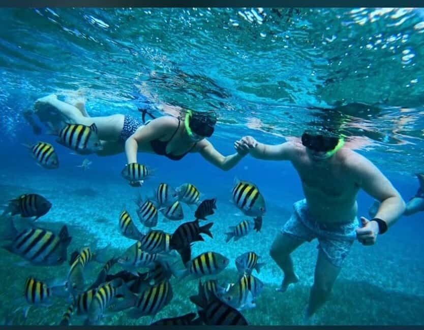 Cozumel: snorkeling on reefs + visit to "El Cielo" - What Travelers Are Saying