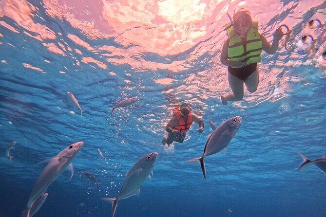 Cozumel Snorkeling to Palancar & El Cielo with drinks & Snack - What’s Included and What’s Not