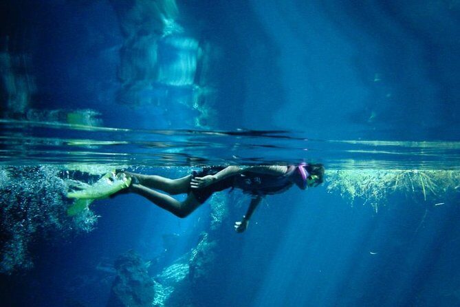 Cozumel Snorkeling Tour from Playa del Carmen - An Overview of the Tour Experience