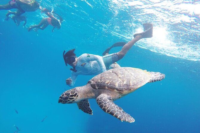 Cozumel Snorkeling Tour: Palancar, Columbia and El Cielo Reefs - The Value of the Experience