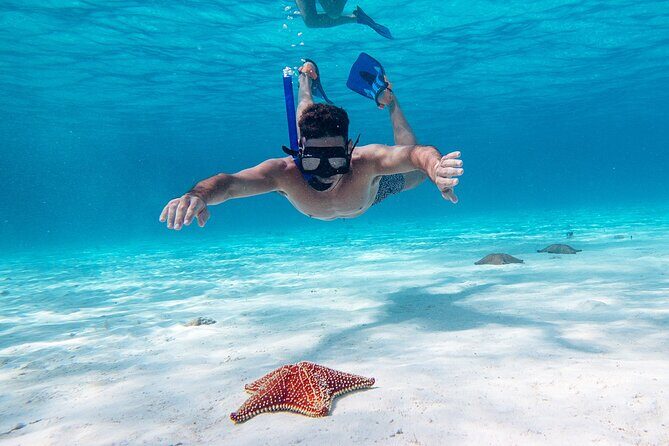 Cozumel Starfish and Tropical Reef Snorkeling by Powerboat with Lunch - Authentic Insights from Travelers