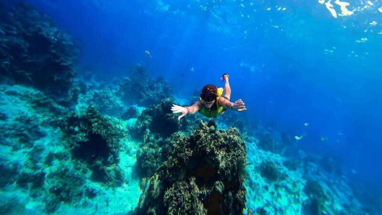Cozumel: Transparent bottom boat tour and snorkeling activity. - The Itinerary in Detail