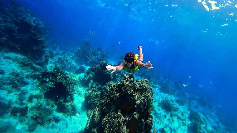 Cozumel: Transparent bottom boat tour and snorkeling activity. - The Itinerary in Detail