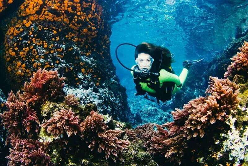 Cozumel: Twilight and Night Dive for Certified Divers - What to Expect During the Tour