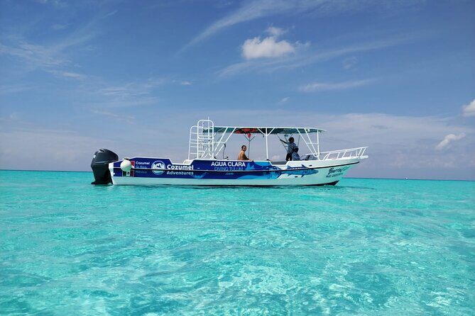 Cozumel Underwater Wonders: El Cielo Sandbar & Reef Snorkeling - The Sum Up