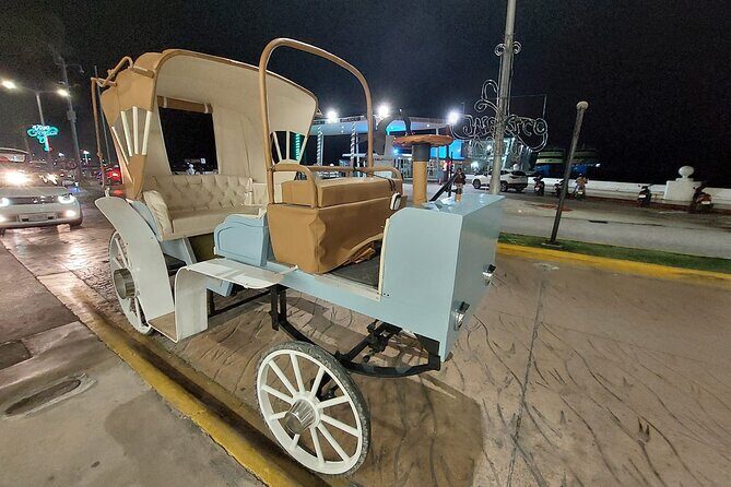 Cozumel's Heart Electric and Horse-drawn Carriage Tour - Who Will Love This Tour?