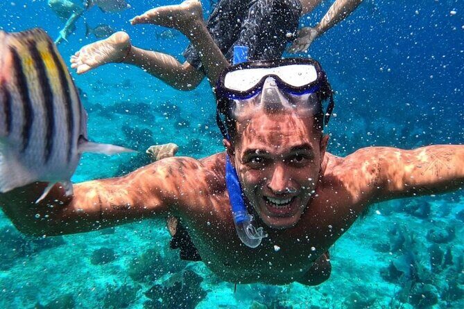Cozumel's Reefs in El Cielo, Palancar and Columbia Guided Tour - What’s Included and What’s Not