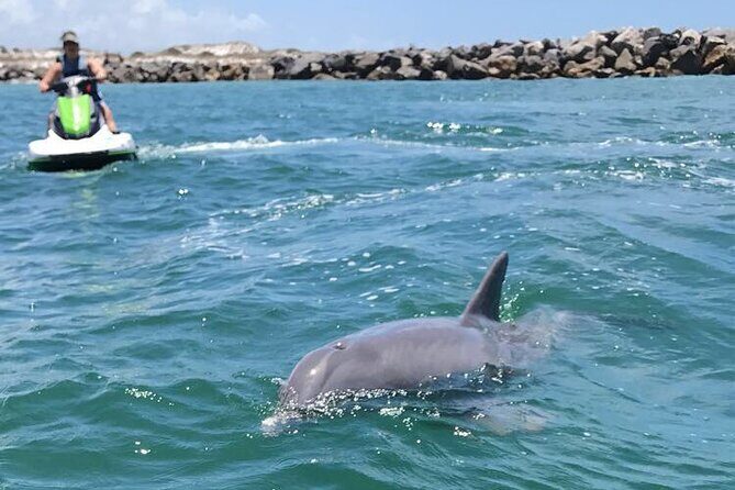 Crab Island Dolphin Jet Ski Adventure - Who Will Love This Tour?