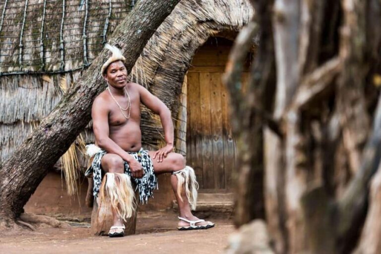 Cradle Of Humankind, Lesedi Cultural Village & Lion's Park - Evaluating the Price and Overall Value