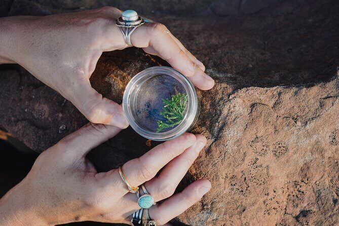 Create Energetic Flower Essences and Reconnect with Nature - An Overview of the Experience