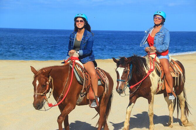 Create your COMBO: Choose 2 of the Best Tours in CABO - Who Should Book This Tour?