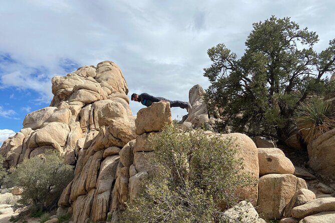 CreativeSoul ScavengerHunt(Hidden Valley,Joshua Tree)Remote Host - The Practical Side of Booking and Experience