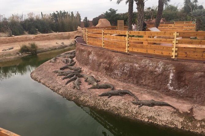 Croco & Anaconda parc Agadir - Who Will Love This Tour?