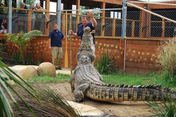 Crocodiles Park Ticket With Transfers - An In-Depth Look at the Crocodiles Park Experience