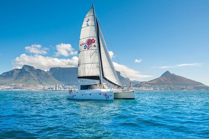 Cruise and Dine Dinner / Cape Town: Sunset Champagne Cruise and 3-Course Dinner - Authentic Experiences and Insights from Reviews