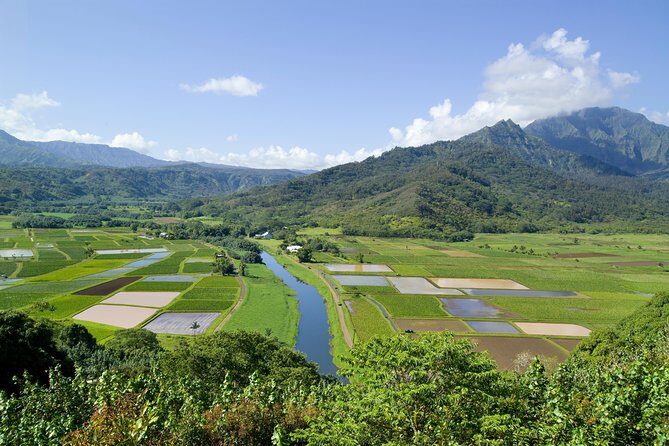 Cruise Ship Shore Excursion: Kauai Movie Sites Tour - Authenticity and Scenic Highlights