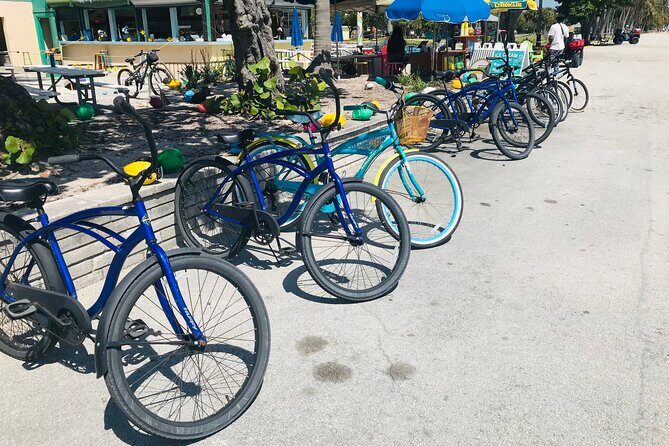 Cruiser Bike Rental at Crandon Park - Final Thoughts