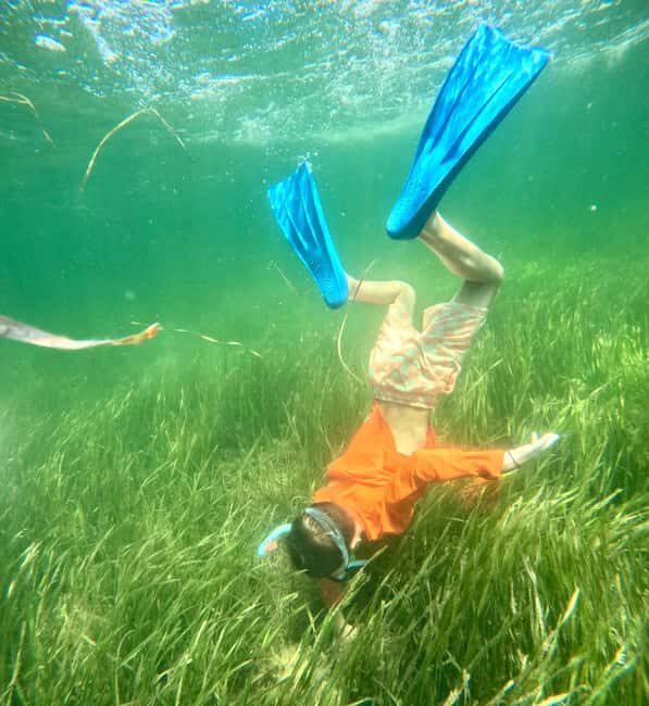 Crystal River: All Inclusive Premier Scalloping Tour - Summary: Who Should Consider This Tour?