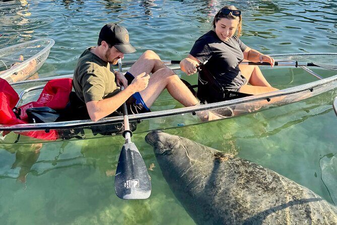 Crystal River: Clear Kayak Manatee Eco Tour (Free Photo Package) - Final Thoughts