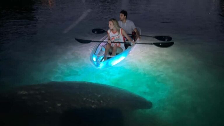 Crystal River: Clear Kayak Sunset & Night Glow Tour - Value and Practical Considerations