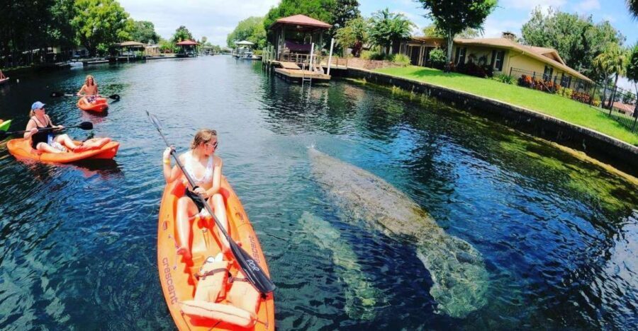 Crystal River: Kayak Rental - What We Love About This Tour