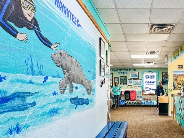 Crystal River: Manatee Snorkel Tour w/ In-Water Photographer - The Itinerary Breakdown