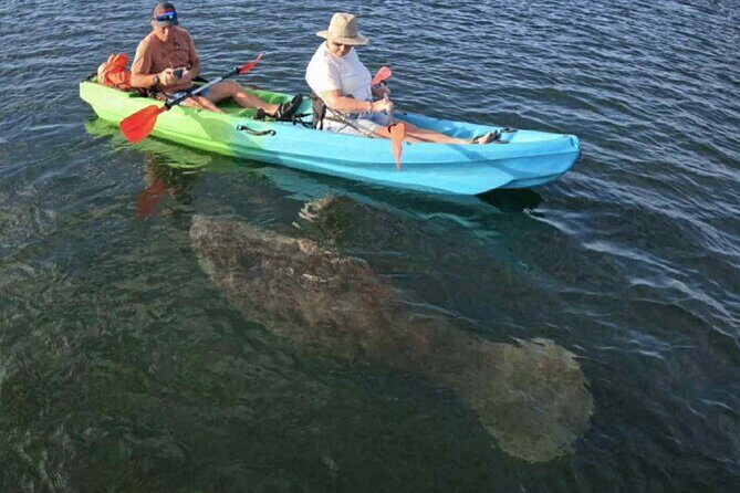 Crystal River Sunrise Manatee Clear Kayak Tour - What Makes This Tour Stand Out?