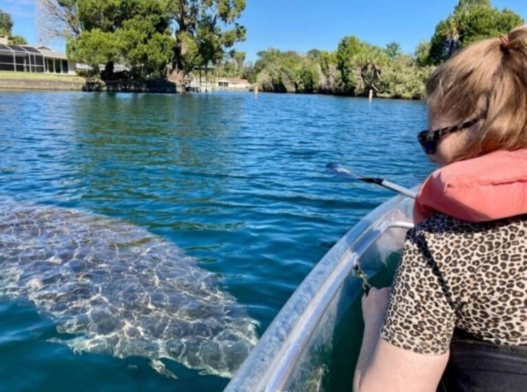 Crystal River: Three Sisters Springs Eco Tour by Clear Kayak - Authentic Experiences and the Value for Travelers