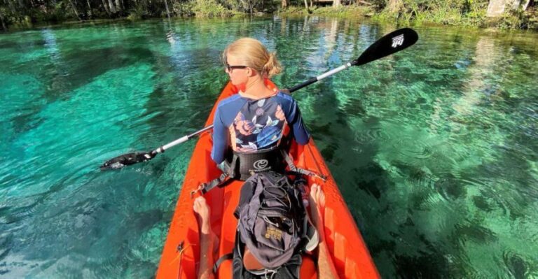 Crystal River:Three Sisters Springs Guided Kayak & Swim Tour - The Value Proposition