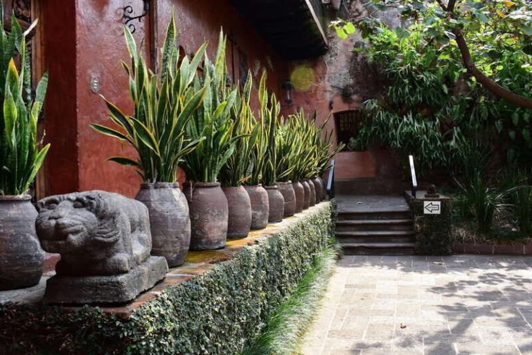 Cuernavaca: Museo Robert Brady Entrance Tickets - A Closer Look at the Museo Robert Brady