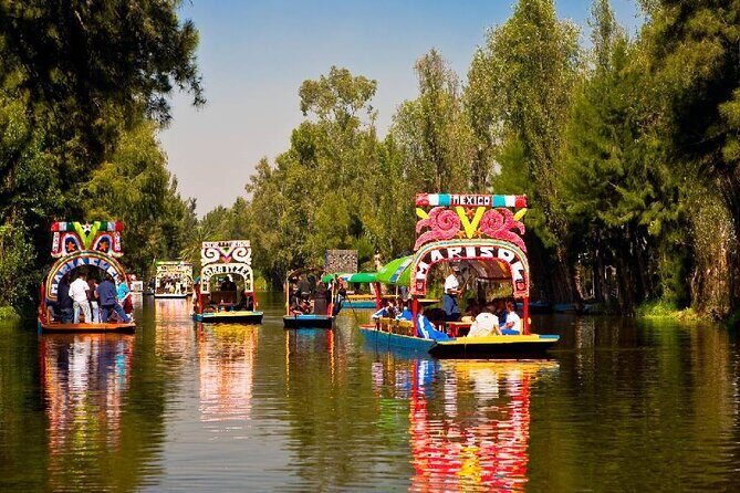 Cuicuilco Ruins, Xochimilco Boat Ride & Diego Rivera Museum. - Analyzing the Value
